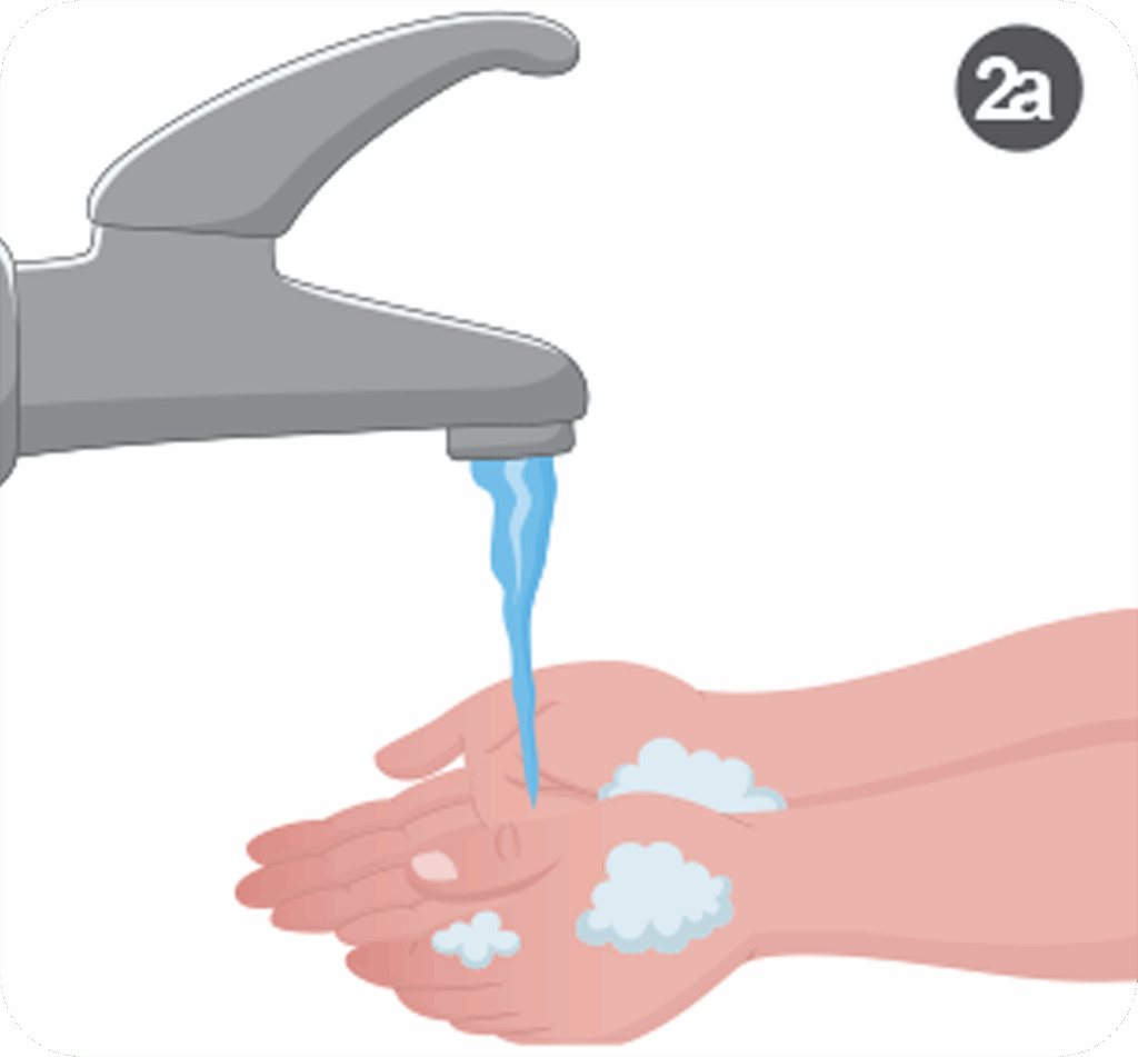 2a