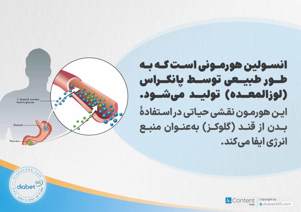 مقایسه انواع انسولین کوتاه اثر، متوسط اثر و طولانی اثر: انسولین هورمونی است که بهطور طبیعی توسط پانکراس (لوزالمعده) تولید میشود. این هورمون نقشی حیاتی در استفادۀ بدن از قند (گلوکز) بهعنوان منبع انرژی ایفا میکند.