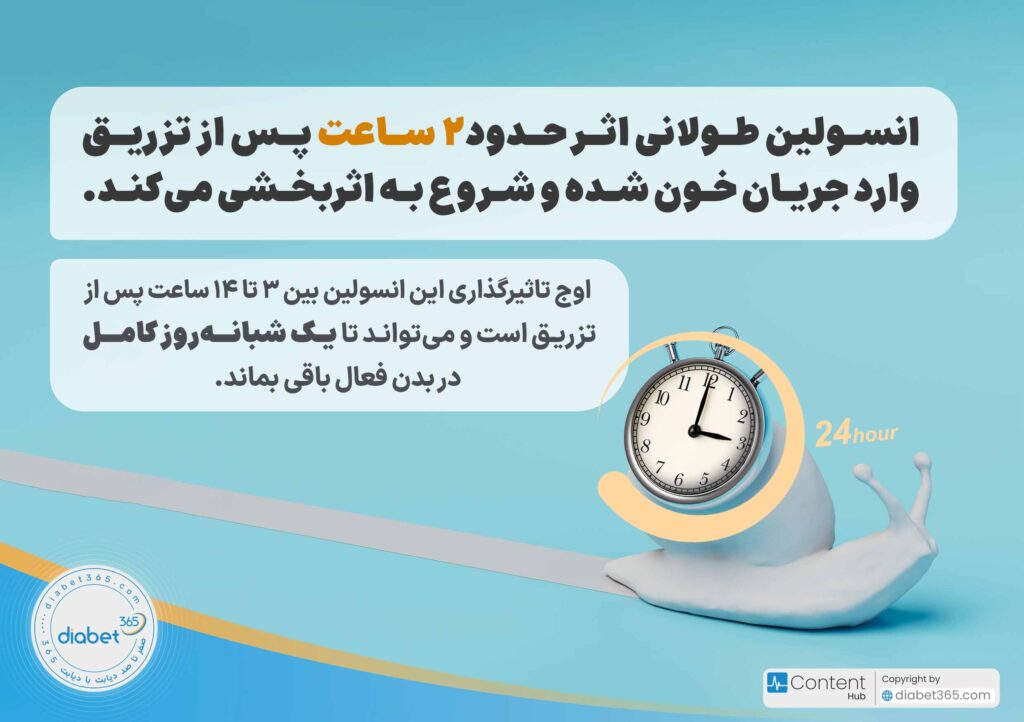 مقایسه انواع انسولین کوتاه اثر، متوسط اثر و طولانی اثر: انسولین طولانی اثر حدود2 ساعت پس از تزریق وارد جریان خون شده و شروع به اثربخشی میکند. اوج تاثیرگذاری این انسولین بین ۳ تا ۱۴ ساعت پس از تزریق است و میتواند تا یک شبانهروز کامل در بدن فعال باقی بماند.