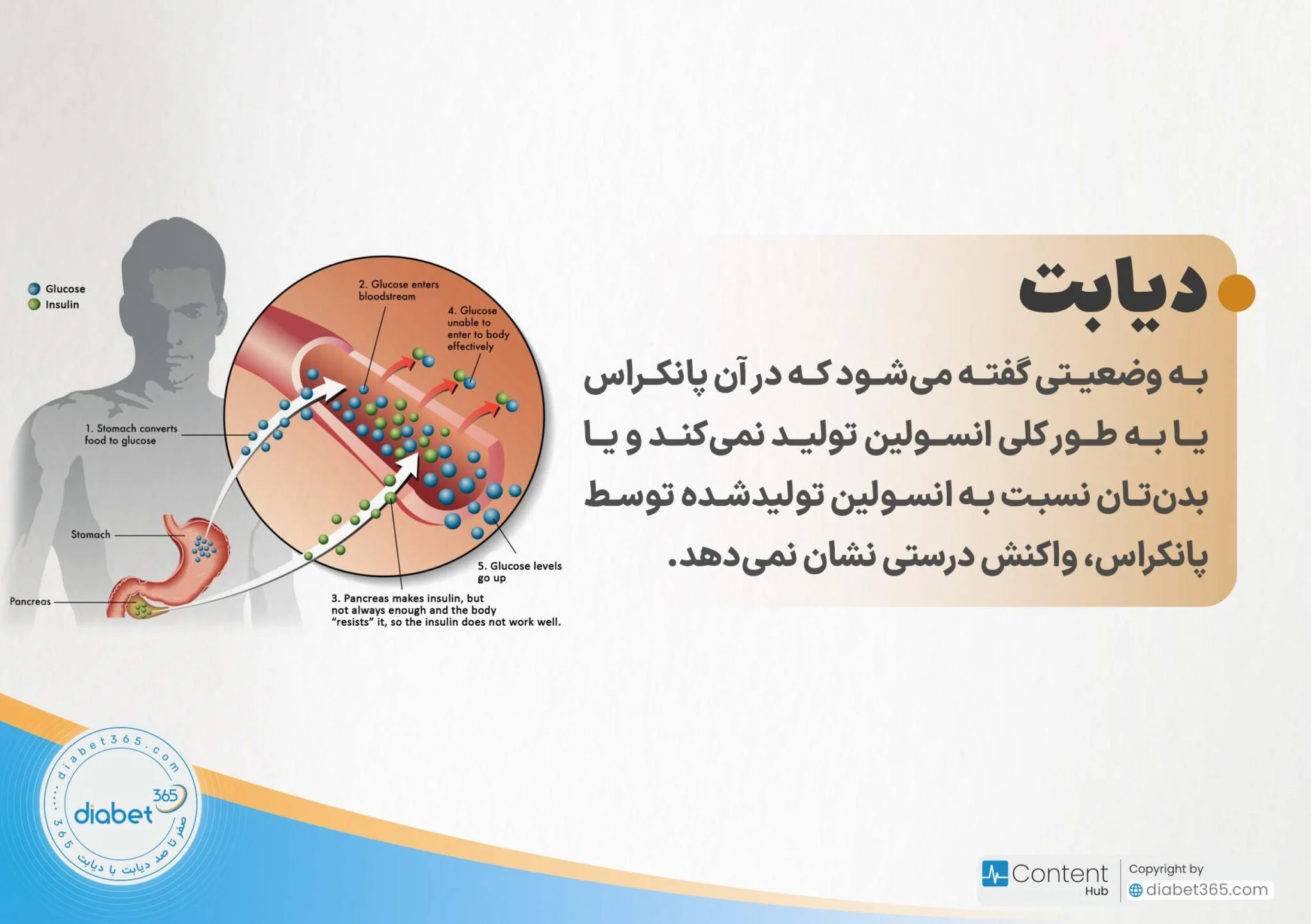 دیابت نوع ۱ و ۲ چه تفاوتی دارند؟